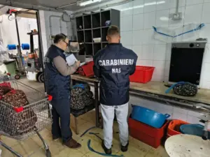 Controlli dei Nas nel Palermitano, multe per 34mila € e sequestri di alimenti