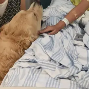 Pet therapy, quando il rapporto con un animale può aiutare le persone