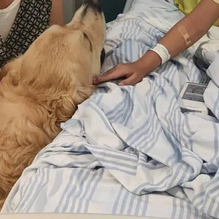 Pet therapy, quando il rapporto con un animale può aiutare le persone