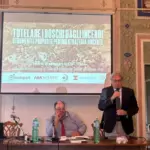 Tutelare_boschi_san martino delle scale_ (1)