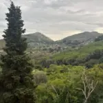 Tutelare_boschi_san martino delle scale_ (2)