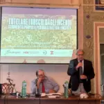 Tutelare_boschi_san martino delle scale_ (9)
