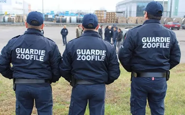 Sicilia,aperte le iscrizioni al corso per Guardie Zoofile OIPA 2026/2027