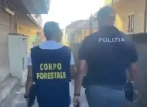 Catania, panificio abusivo nel garage di casa: sequestrati oltre 900 chili di prodotti