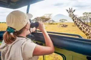 Il lato oscuro del turismo: quando fotografare o toccare un animale può danneggiarlo