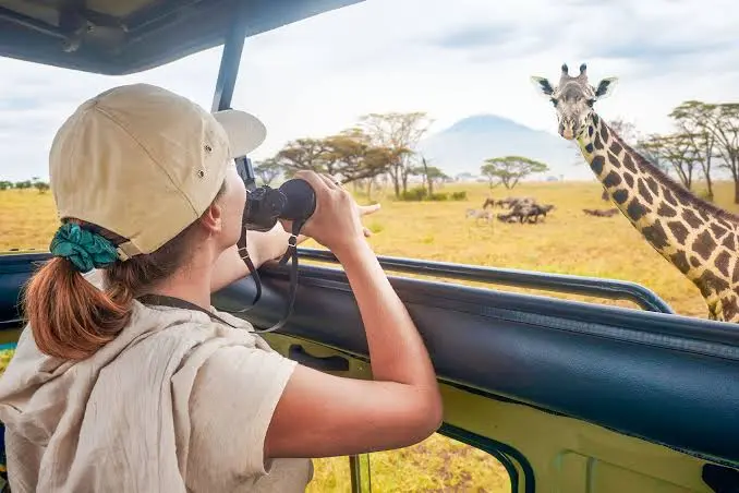 Il lato oscuro del turismo: quando fotografare o toccare un animale può danneggiarlo