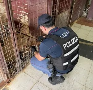 Catania, 32 animali ammassati in gabbie sporche in un garage: denunciato un 55enne
