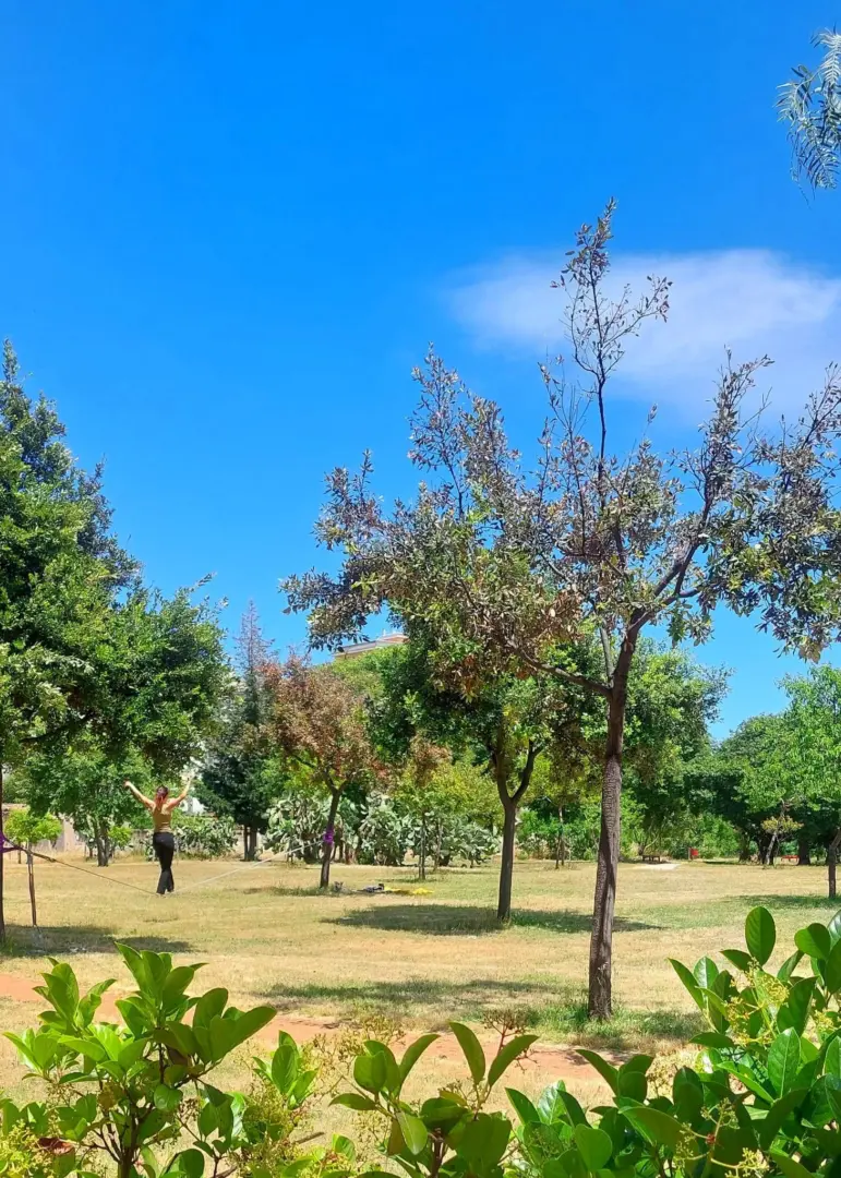 Parco Uditore, scontro sulla riapertura: la cooperativa contro la Regione