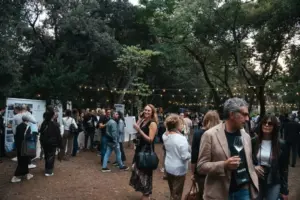 La Sicilia del vino incontra la sostenibilità: “Crescita più efficiente grazie ad agrivoltaico e agrisolare”