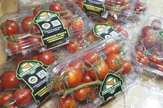 Sciopero dei tir, allarme del Pomodoro di Pachino Igp: “Danni per milioni di euro”