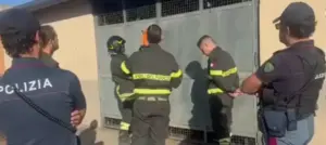 Catania, puledro di sei mesi salvato da una stalla abusiva a Zia Lisa: denunciato un 41enne e multe per 6.500 euro