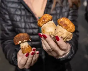 Non solo gastronomia: il Funghi Fest diventa una vetrina turistica e culturale per le Madonie