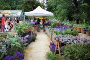 All’Orto Botanico di Palermo ritorna la Zagara d’Autunno, dal 23-25 ottobre