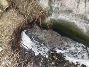 Alcamo, liquami nel torrente Canalotto: “Sversamento dal depuratore comunale”