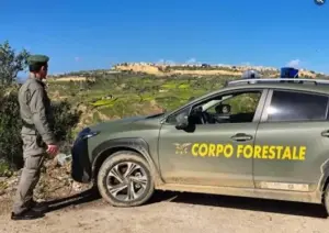 Forestale in Sicilia, il 28 ottobre la firma dei contratti per 94 nuovi agenti